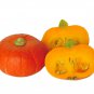 Scarlet Gem Chestnut Squash 20 Seeds