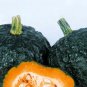 Japanese Black Pumpkin 40 Seeds
