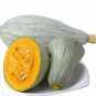 Noble Pumpkin Hybrid 40 Seeds