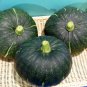'Green Baby' Small Pumpkin 40 Seeds