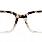 Vanilla Latte Tortoise | Larkin