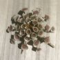 sea orchin 75 mm...natural sea urchin