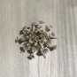 Sea urchin flower..pure sea urchin 68 mm