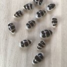 seashells asellus 12 pcs...16-21 mm