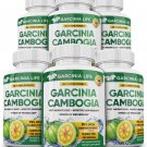 6 x BOTTLES 360 Capsules 3000mg Daily GARCINIA CAMBOGIA HCA 95% Weight Loss Diet