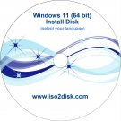 Windows 11 Disk 64 bit