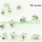 5set(20) 2nd Buccal Tube 022 MBT Bond Sgl Dental Orthodontic Archwire Molar Band