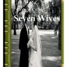 Seven Wives and Seven Prisons by L.A. Abbott  eBook