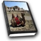 The Lion of Petra by Talbot Mundy  eBook