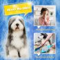 [Upgrade Version] Pet Grooming Glove - Gentle Deshedding Brush Glove - Efficient