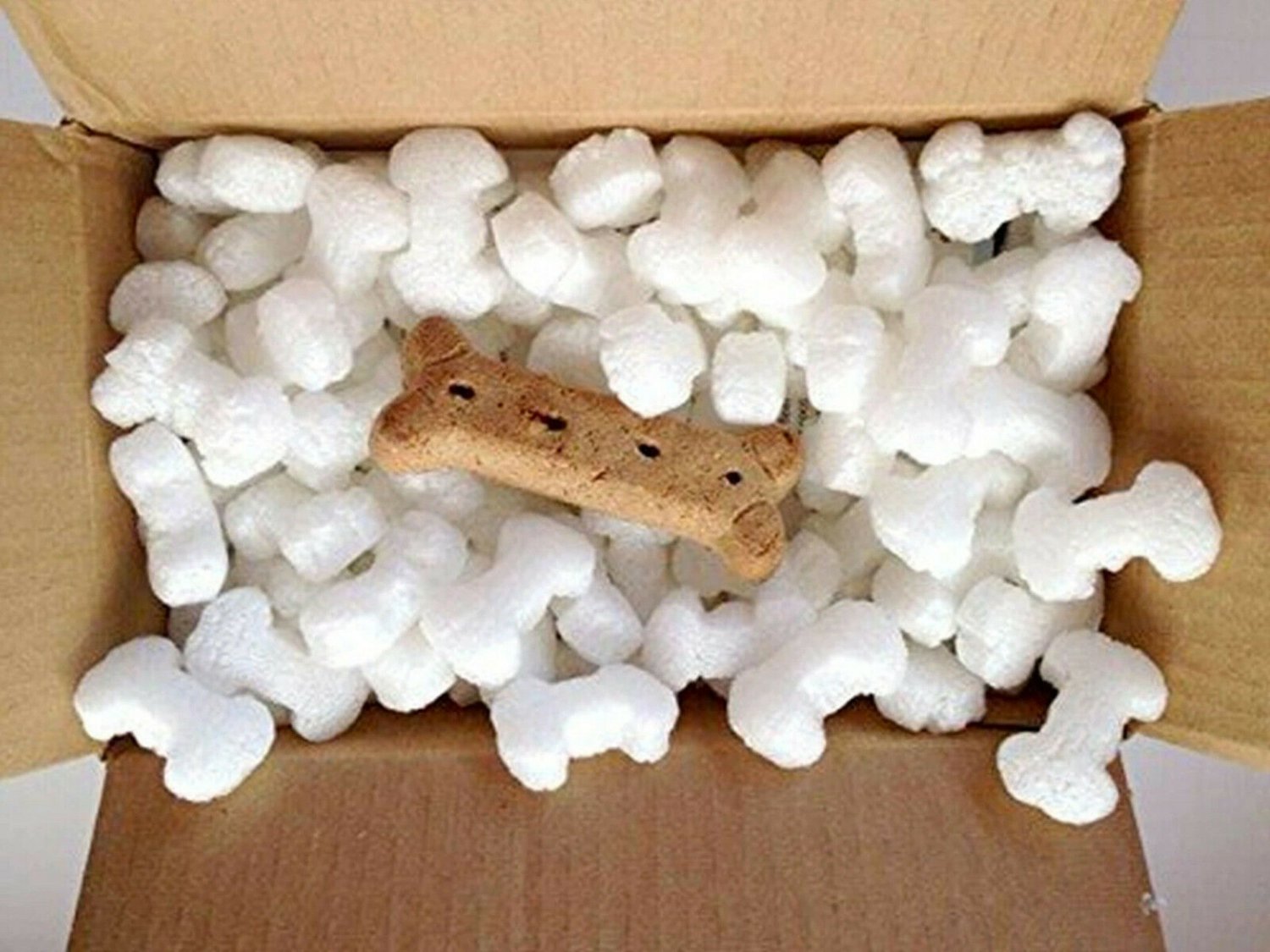 Funpak Packing Peanuts Dog Bone Shaped 1.5 Cu Ft Bag Compostable