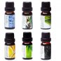 Essential Oils by 100% Pure Oils Kit- Top 6 Aromatherapy Oils Gift Set-6 Pack,