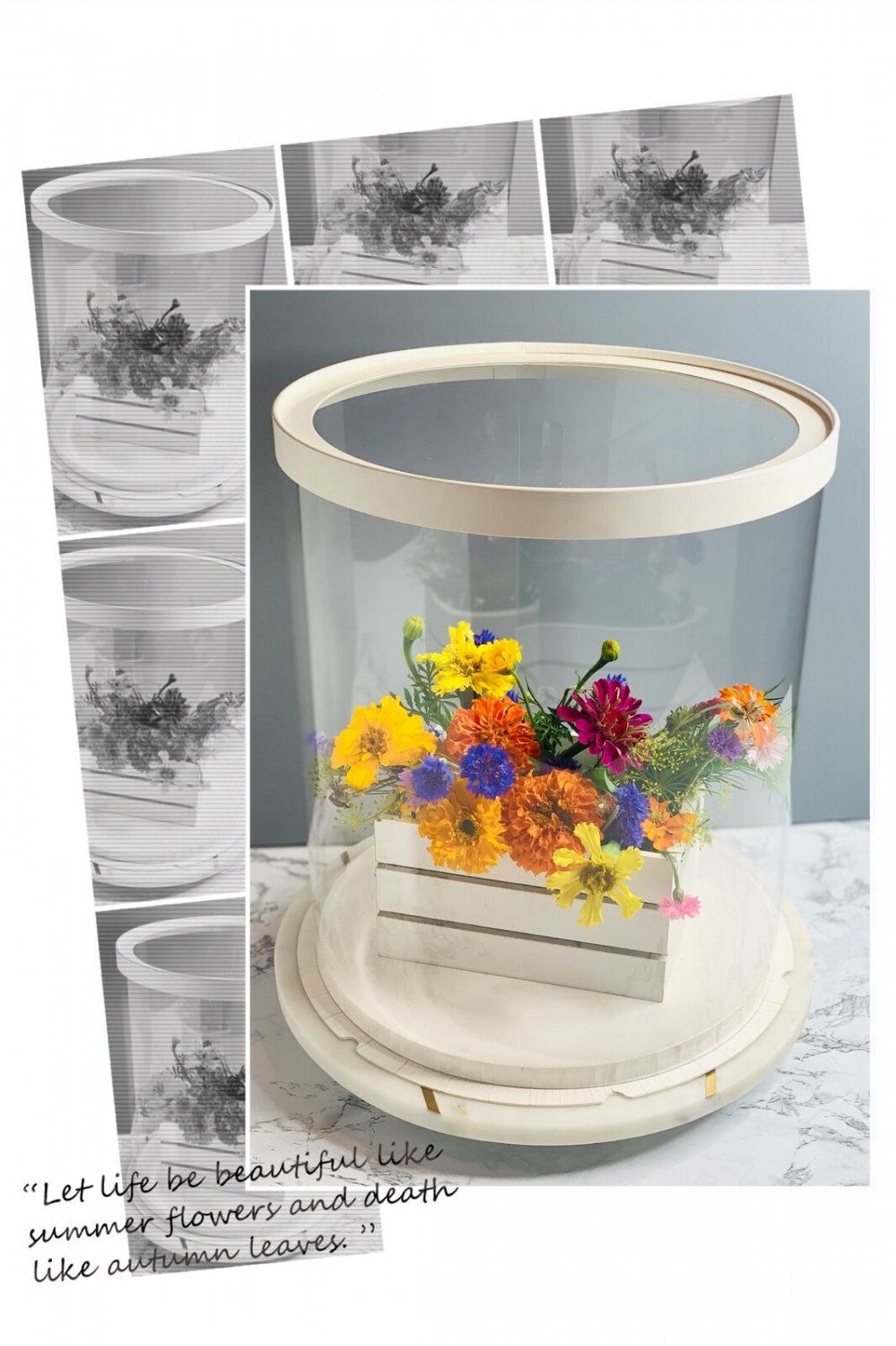 Large round White Tall Clear Cake Box - 12" D X 13.5" H - Clear Cake Boxes for T
