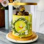 Large round White Tall Clear Cake Box - 12" D X 13.5" H - Clear Cake Boxes for T