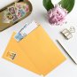 6X9 Catalog Envelopes 100 Pack Small Envelopes Brown Kraft Self Seal Security Ma
