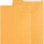 6X9 Catalog Envelopes 100 Pack Small Envelopes Brown Kraft Self Seal Security Ma