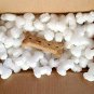 Dog Bone Shaped Packing Peanuts 1.5 Cu Ft Bag Compostable Biodegradable