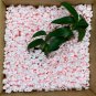 Pack & Ship Anti Static Packing Peanuts Pink 7 Cu ft. Shipping Fill 52 Gal