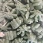 Packing Peanuts Marijuana Leaf Shape Minipack .6 Cu Ft Biodegradable