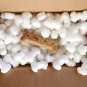 Packing Peanuts Dog Bone Shaped 1.5 Cu Ft Bag Compostable Biodegradable