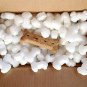Minipak Packing Peanuts Dog Bone Shaped 1.5 Cu Ft Bag Compostable Biodegradable