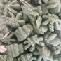 Packing Peanuts Special Leaf Shape Minipack 0 .6 cu ft Biodegradable