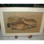Oriental Fauna KOI Fish ~ Framed Art Image Wood Asian