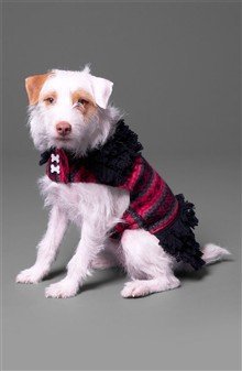 NINE WEST Fair Isle Loopy Dog Sweater Medium