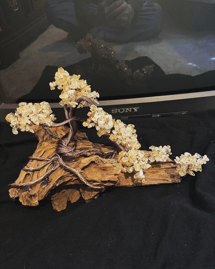 Bonsai tree