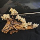 Bonsai tree