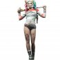Resin Figure Harley Quinn Unpainted Model Kit Female clown SEXY adult 35/54/75mm