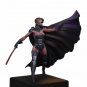 1/24 75mm Resin Figure Model Kit Sexy Girl Vixen Lord Soldier Unpainted Unassamb