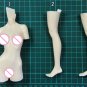1/6 300mm Resin Figure Model Kit Japanese Sexy Girl Female Unpainted X0140