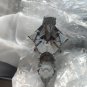 255mm Resin Figure Model Kit Mechanized Warrior Devastator CyberPunk Unpainted