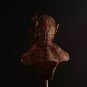 1/10 66x45mm BUST Resin Figure Model Kit Warrior Devil Berserk Unpainted