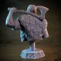 58mm BUST Resin Figure Model Kit Warrior Barbarian Viking Unpainted Unassambled