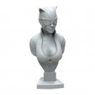 60mm BUST Resin Figure Model Kit Sexy Girl SuperHero Catwoman Unpainted