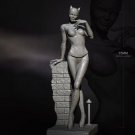 1/24 75mm Resin Figure Model Kit Sexy Girl SuperHero Catwoman Unpainted X0219