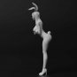 1/32 1/24 1/14 Resin Model Kit Modern Asian Beautiful Girl Rabbit Dancer Unpaint