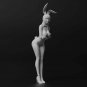 1/32 1/24 1/14 Resin Model Kit Modern Asian Beautiful Girl Rabbit Dancer Unpaint