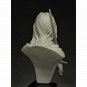 1/12 BUST Resin Model Kit Beautiful Girl Celtic Warrior Unpainted