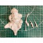 1/12 BUST 110mm Resin Model Kit Dwarf Gnome Rider Fairy Tales Unpainted