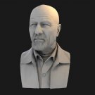 1/10 BUST 55mm Resin Model Kit Chemistry Teacher Movie Unpainted