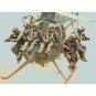 1/35 9pcs Resin Model Kit Modern Soldiers US Army (no aircraft) Unpainted