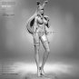1/24 Resin Model Kit Beautiful Girl Rabbit Fantasy TD-3308 Unpainted