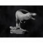 Height 95mm Resin Model Kit Jurassic Park Tyrannosaurus Rex Animal Unpainted