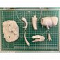 Height 95mm Resin Model Kit Jurassic Park Tyrannosaurus Rex Animal Unpainted
