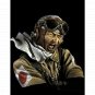 1/10 BUST Resin Model Kit Fighter Asian Pilot WW2 Unpainted