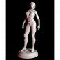 1/18 100mm 3D Print Model Kit Beautiful Girl Woman Soldier Unpainted