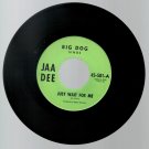 Big Dog  Sings Just Wait For Me / Doris   JAA DEE 501  60's Pop / Rock  45 FREE SHIPPING